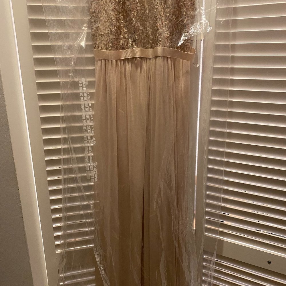 NWT Open-Back Sequin and Mesh Dress